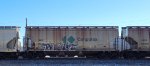 CNPX 150386